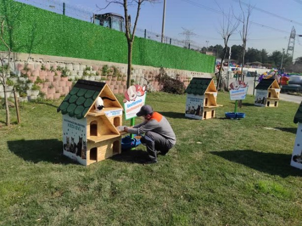 Foto - Belediye sokak kedileri için kedi köyü yaptı