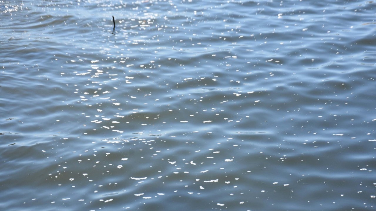 Foto - 'Belediyem laik'! İzmir kokuyor CHP bakıyor!