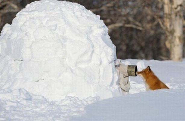 Belgeseller nasıl çekiliyor?