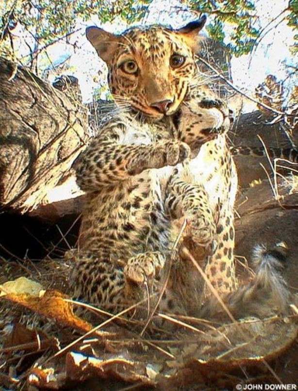 Foto - Belgeseller nasıl çekiliyor?