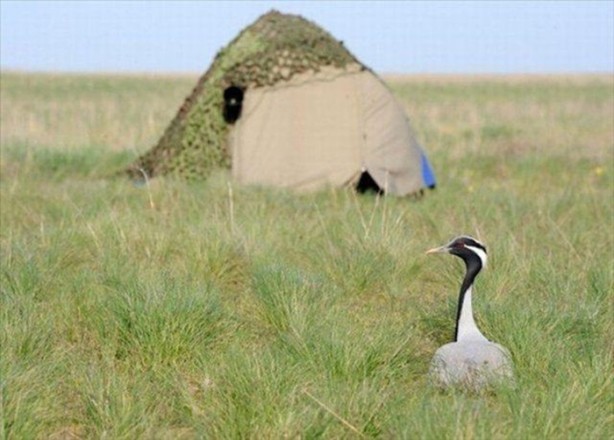 Foto - Belgeseller nasıl çekiliyor?