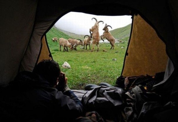 Foto - Belgeseller nasıl çekiliyor?