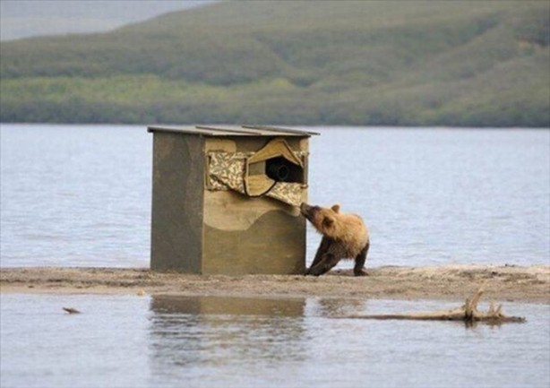 Foto - Belgeseller nasıl çekiliyor?