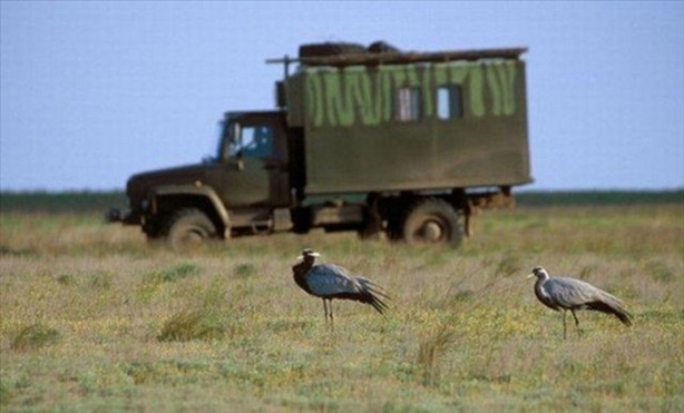 Foto - Belgeseller nasıl çekiliyor?