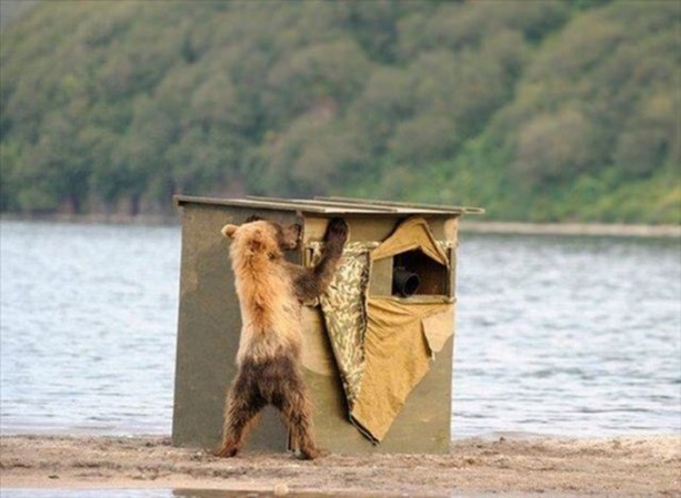 Foto - Belgeseller nasıl çekiliyor?