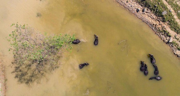 Foto - Belgeselleri aratmadı! İstanbul'da muhteşem görüntüler