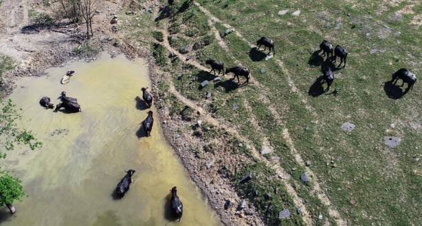 Foto - Belgeselleri aratmadı! İstanbul'da muhteşem görüntüler