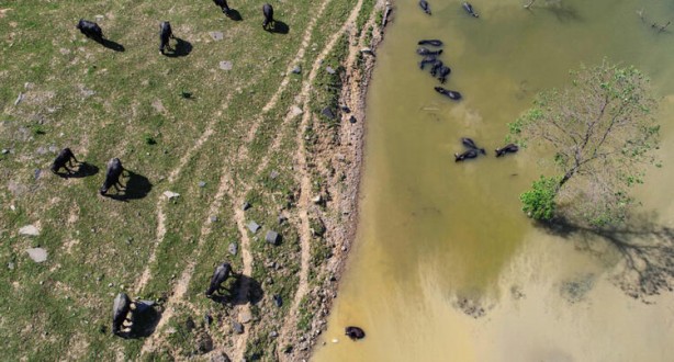Foto - Belgeselleri aratmadı! İstanbul'da muhteşem görüntüler