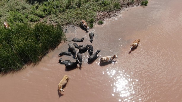 Foto - Belgeselleri aratmayan görüntüler! Burası Afrika değil Sivas