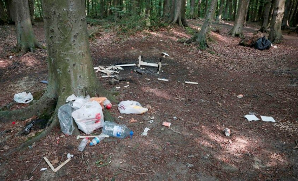 Belgrad Ormanı’nda tepki çeken görüntüler