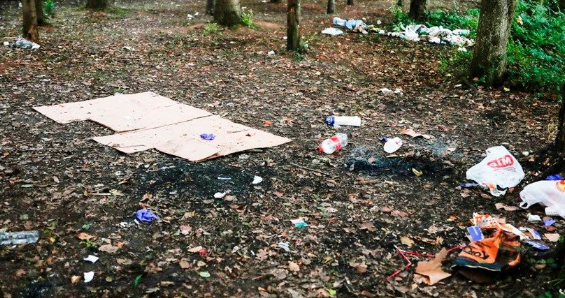 Foto - Belgrad Ormanı’nda tepki çeken görüntüler