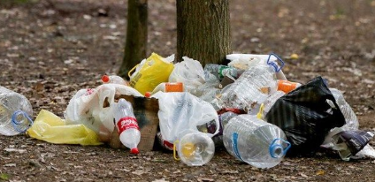 Foto - Belgrad Ormanı’nda tepki çeken görüntüler