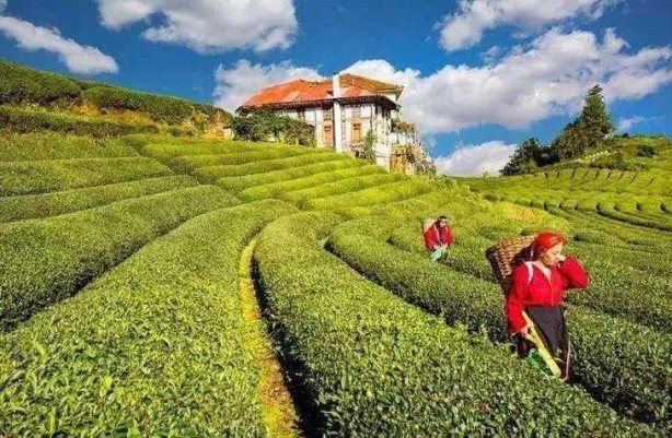 Foto - Belli oldu! İşte yaşam süresi en uzun iller...