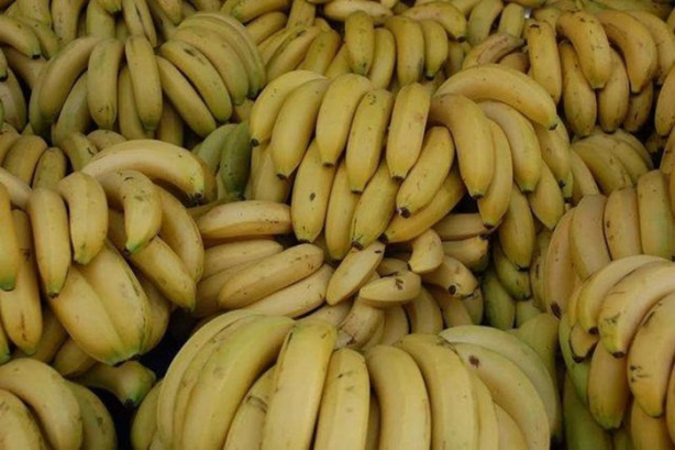 Foto - Benekli muzun öyle bir faydası var ki!