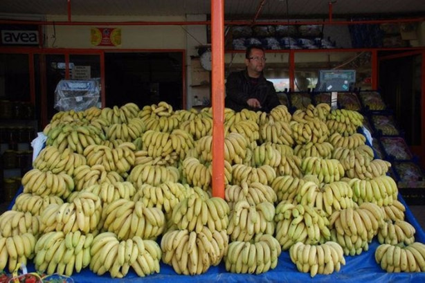 Foto - Benekli muzun öyle bir faydası var ki!