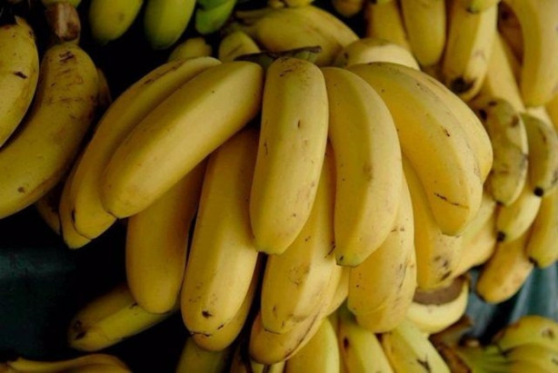 Foto - Benekli muzun öyle bir faydası var ki!