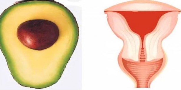 Foto - Benzediği organa şifa veren 10 yiyecek