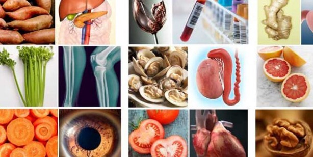 Benzediği organa şifa veren 10 yiyecek