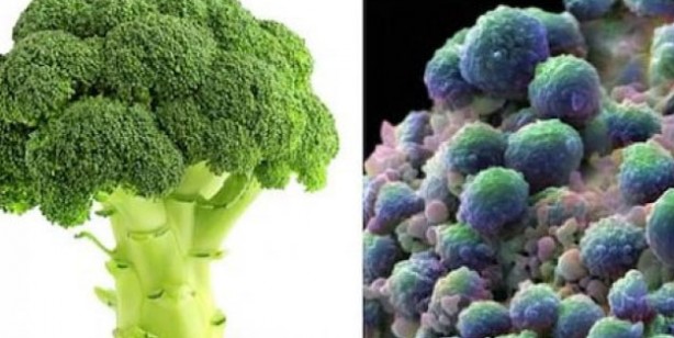 Foto - Benzediği organa şifa veren 10 yiyecek