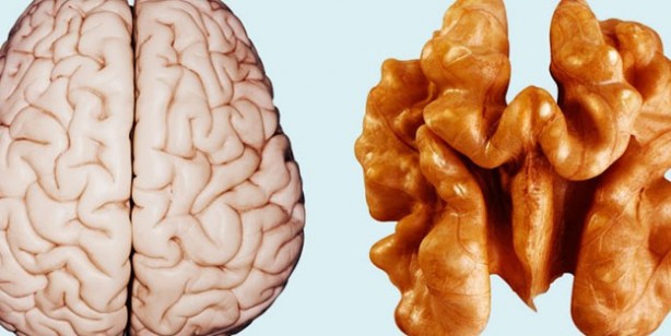 Foto - Benzediği organa şifa veren 10 yiyecek