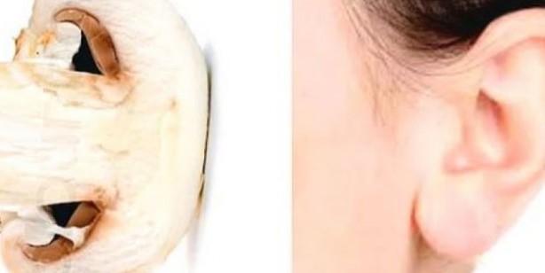 Foto - Benzediği organa şifa veren 10 yiyecek