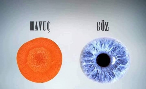 Foto - Benzedikleri organlara iyi geliyorlar!