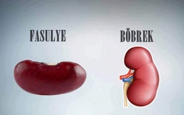 Foto - Benzedikleri organlara iyi geliyorlar!