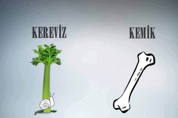 Foto - Benzedikleri organlara iyi geliyorlar!