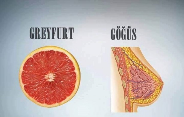 Foto - Benzedikleri organlara iyi geliyorlar!