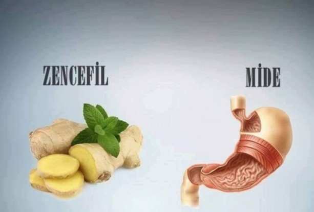 Foto - Benzedikleri organlara şifa oluyorlar!