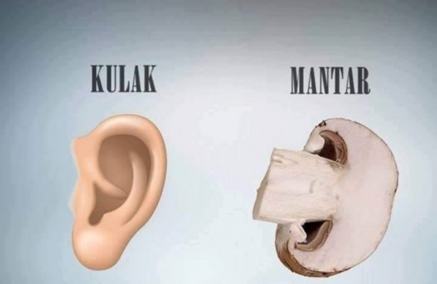 Foto - Benzedikleri organlara şifa oluyorlar!