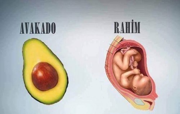 Benzedikleri organlara şifa oluyorlar!