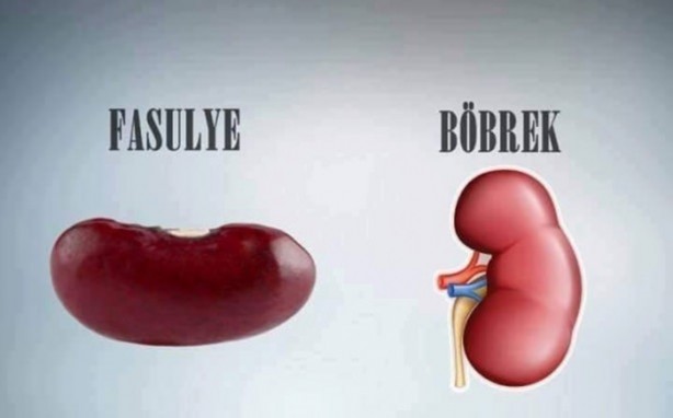 Foto - Benzedikleri organlara şifa oluyorlar!