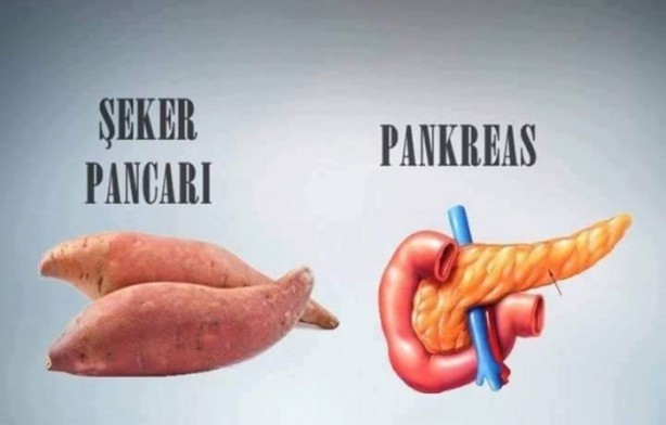 Foto - Benzedikleri organlara şifa oluyorlar!