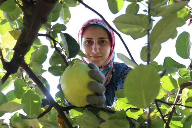 Foto - Benzerine henüz rastlanmadı! Türkiye’de yetişiyor, dünyaya satılıyor
