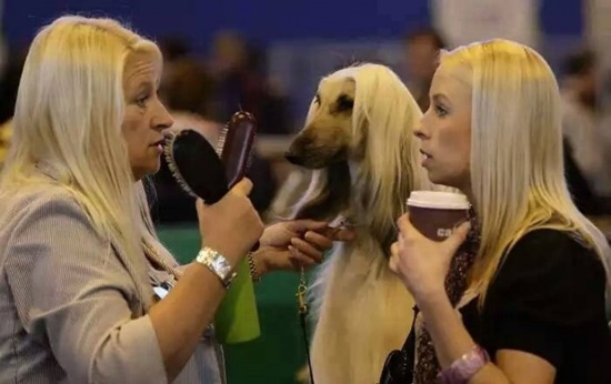 Foto - Benzerlikleriyle gülümsetiyorlar...