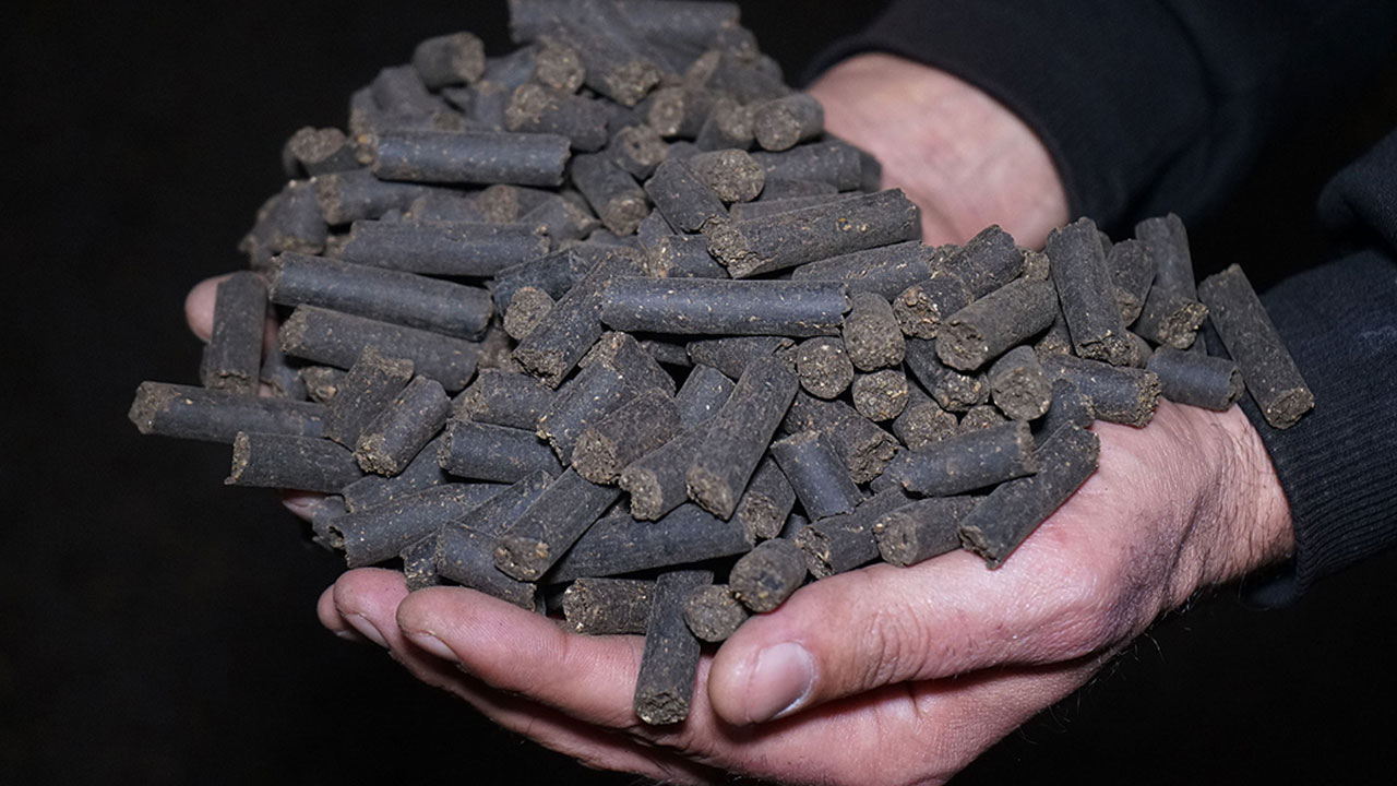 Foto - Benzine rakip çıktı! Hem de yüzde 70 daha ucuz