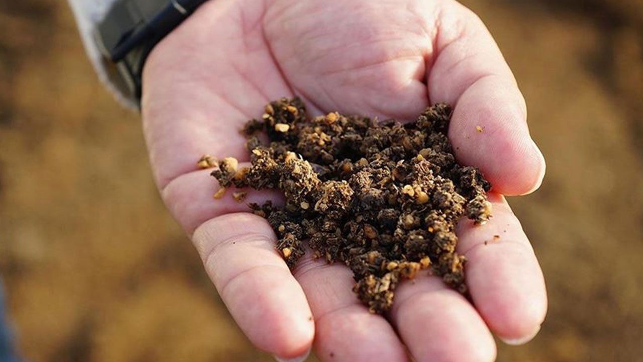 Foto - Benzine rakip çıktı! Hem de yüzde 70 daha ucuz