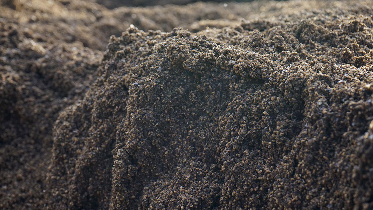 Foto - Benzine rakip çıktı! Hem de yüzde 70 daha ucuz