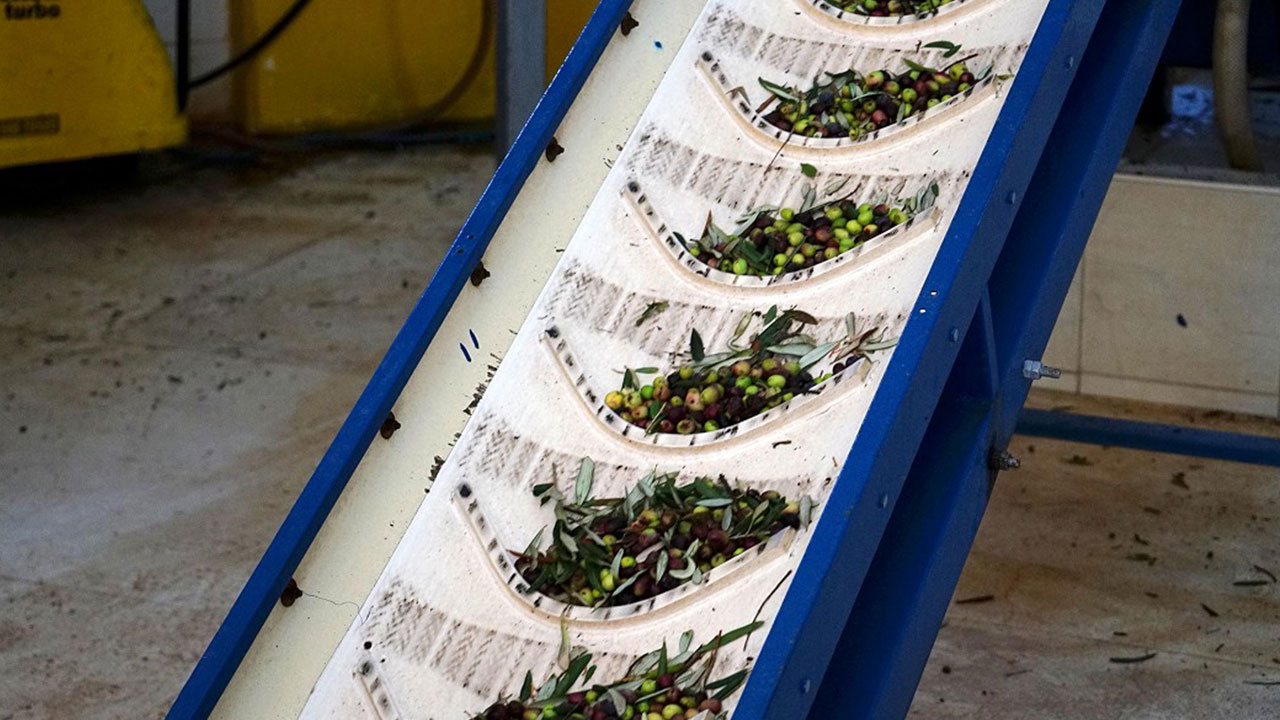 Foto - Benzine rakip çıktı! Hem de yüzde 70 daha ucuz