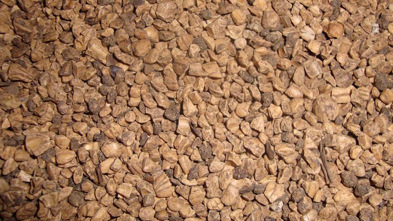 Foto - Benzine rakip çıktı! Hem de yüzde 70 daha ucuz