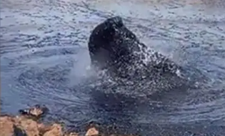 Foto - Benzini 10 kuruşa satan ülkeden Türkiye'ye tarihi petrol teklifi! Böyle çıkış daha önce görülmedi