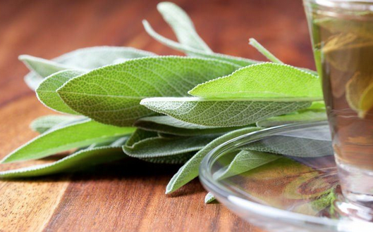 Beraber tüketmeyin felç edebiliyor: Duyanlar dehşete düşecek, şok olacak! Duyan duymayanlara haber etsin