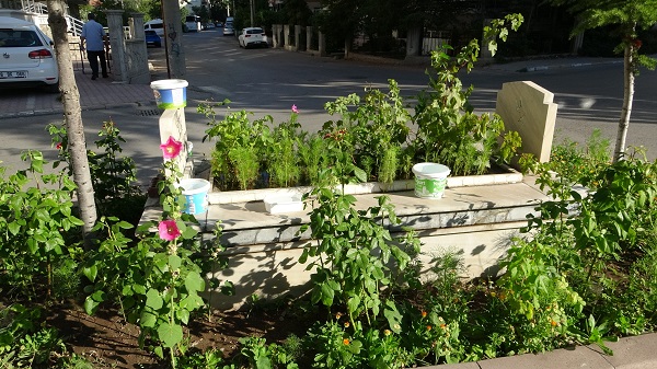 Foto - Beş yolun ortasında bulunuyor! Bu mezarın sırrı ne? 