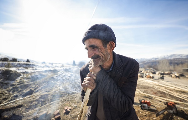 Foto - Besiciler ot yerine hayvanlara bunu yediriyor! Bu yöntemle kilo kilo süt alıyorlar