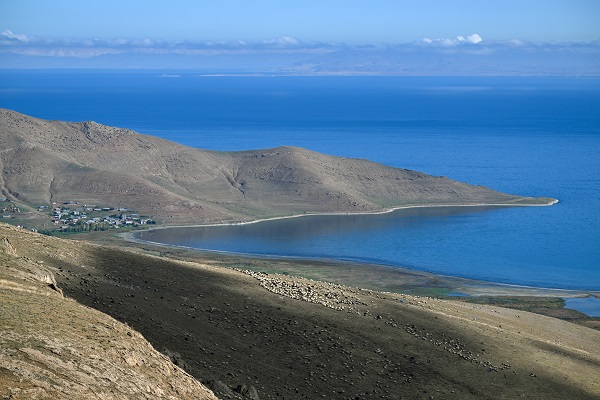 Foto - Besicilere verilen "sürü" desteğiyle hayvan varlığı arttı
