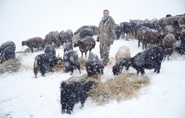Foto - Besicilerin dondurucu soğukla imtihanı