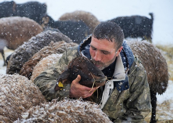 Foto - Besicilerin dondurucu soğukla imtihanı