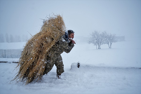 Foto - Besicilerin dondurucu soğukla imtihanı