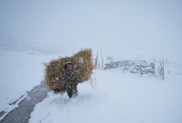 Besicilerin dondurucu soğukla imtihanı
